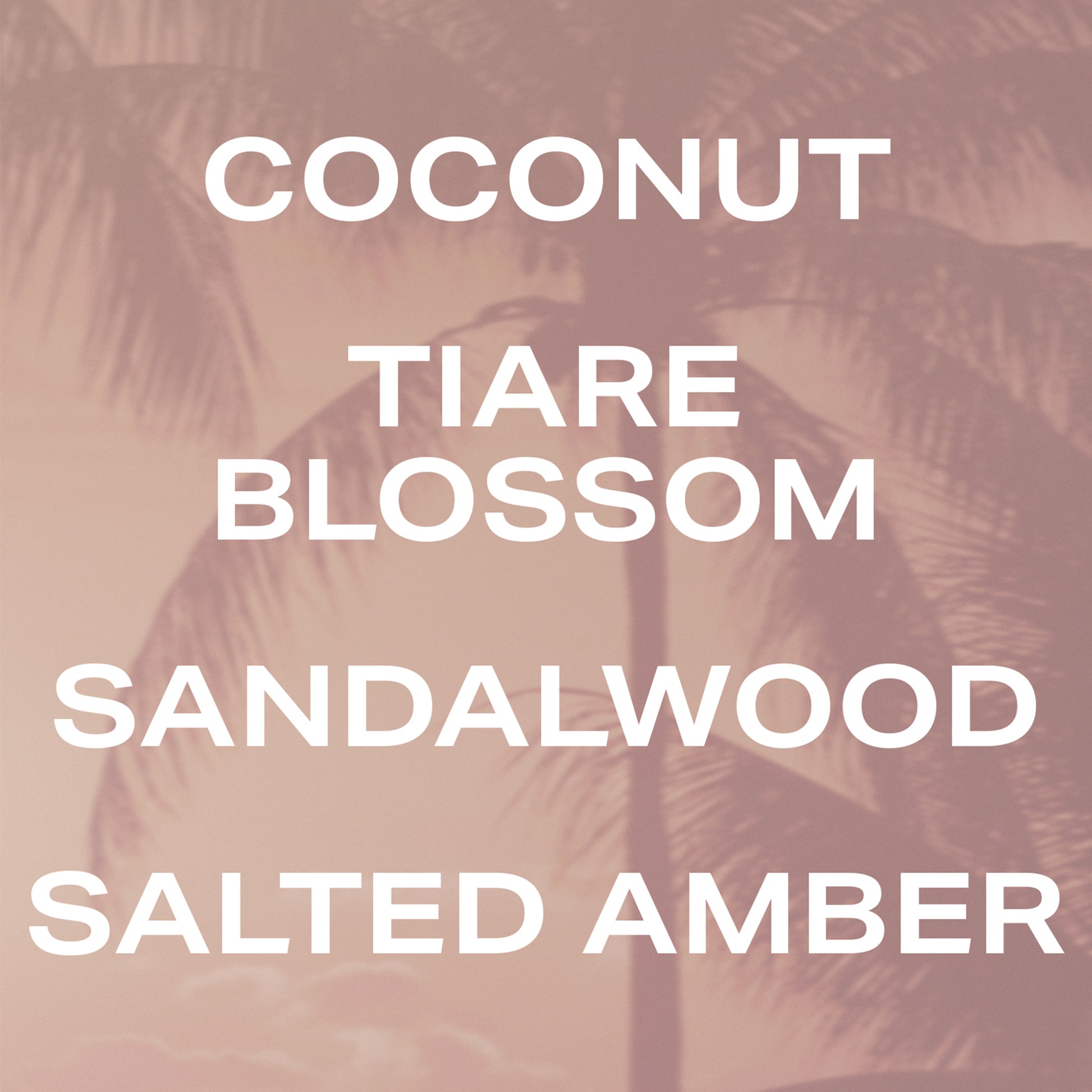 Coconut Skin fragrance notes