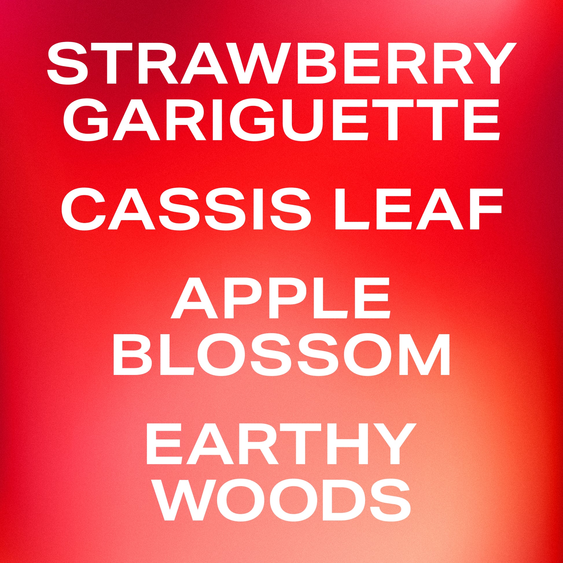 strawberry letter fragrance notes