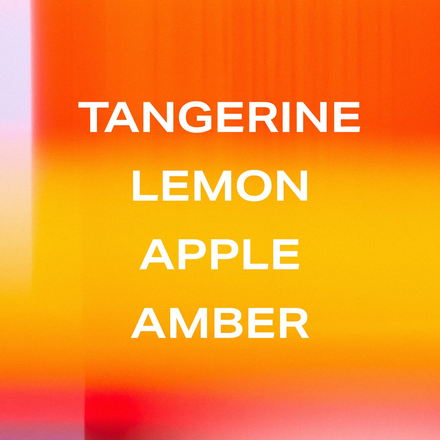 Tangerine Boy fragrance notes